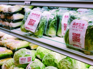 如何讓包裝“綠”起來(lái)？